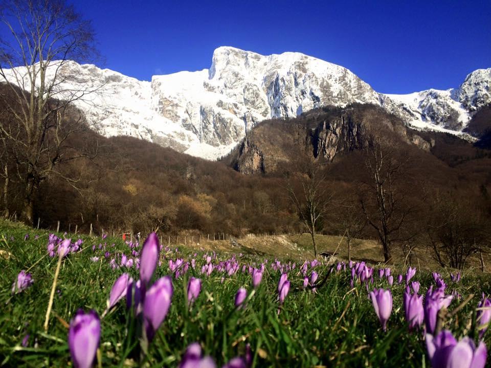 Pocitniska Hisa Lazar Otel Kobarid Dış mekan fotoğraf